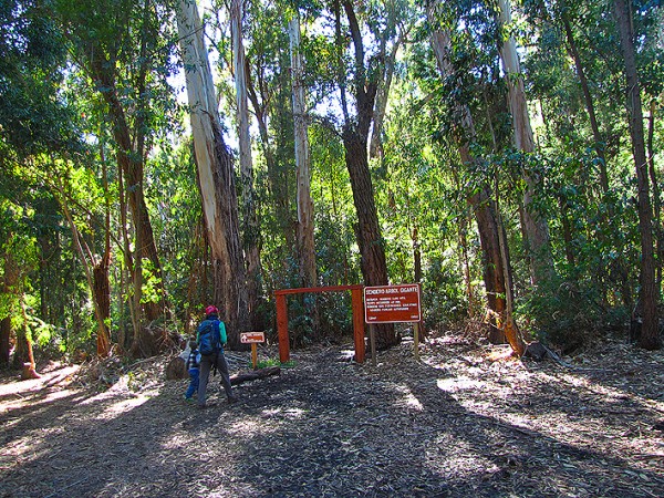 Inicio del sendero