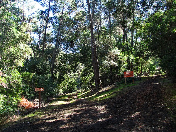 Desvío en el sendero