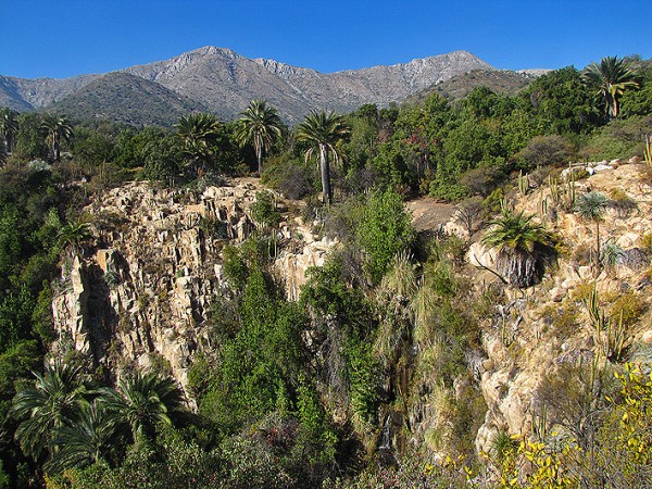 Cascada La Cortadera de las Palmas de Ocoa