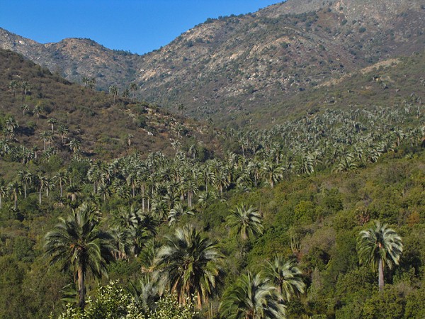 Vista desde el mirador del Amasijo