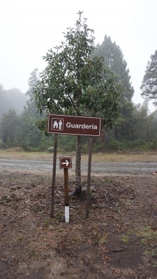 Ruta a portería