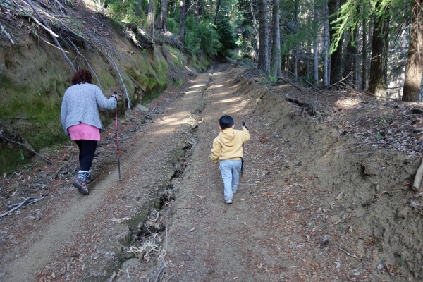 Ancho del sendero