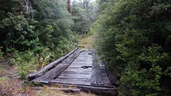 Puente de madera