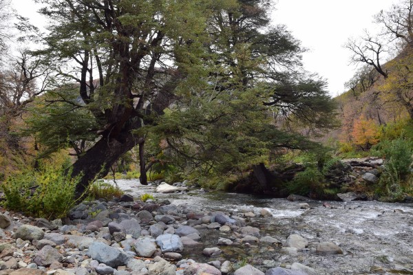 Cruce del río Achibueno