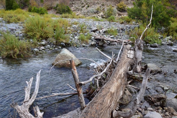 Puente sobre el río Achibueno