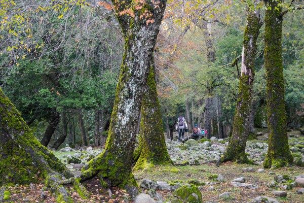 Senderos del río Achibueno