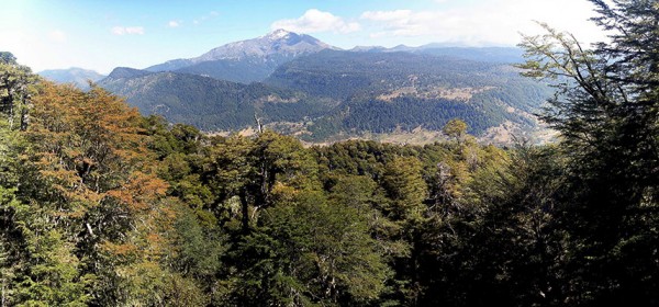 Panorámica Lonquimay Panorámica Lonquimay