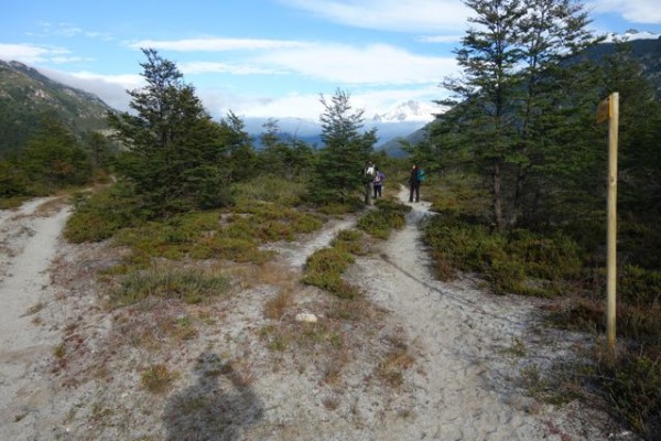 Bifurcación y toma de sendero.