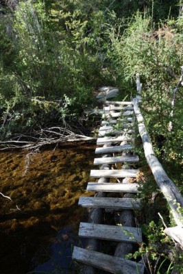 Puente escalera 1