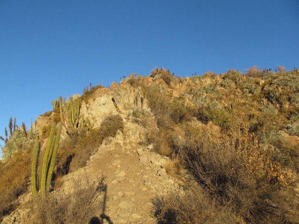 Acometida a Cumbre - Ruta Normal