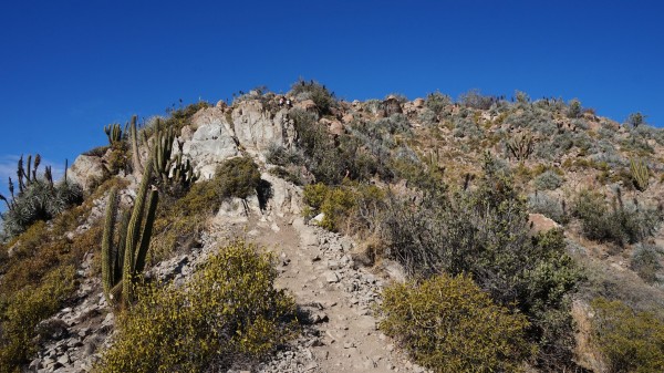 Acometida a Cumbre - Ruta Normal