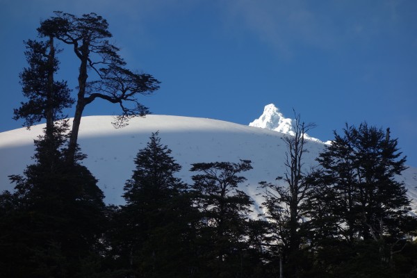 Puntiagudo desde el bosque