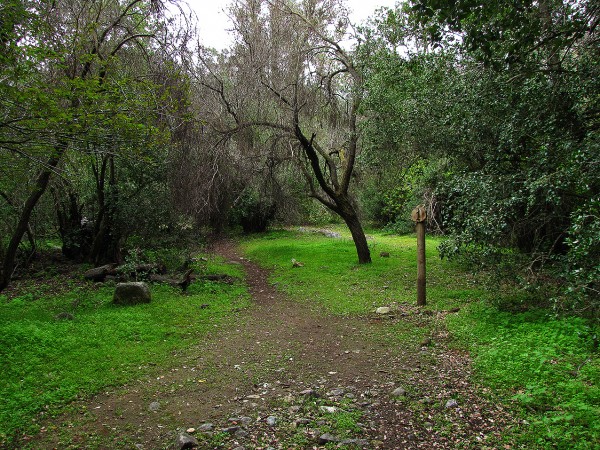 Inicio sendero