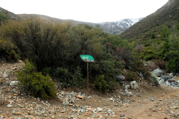 Zona de Picnic