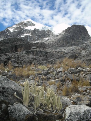 Paisaje típico en el tramo entre el Paso Titizani y Laguna Glaciar