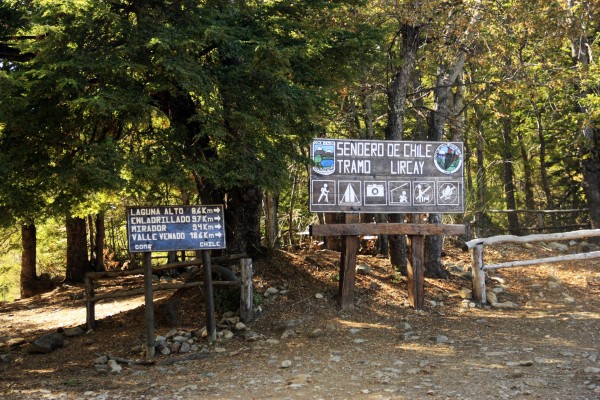 Bifurcación Sendero de Chile