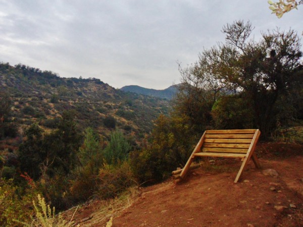 Wooden benches