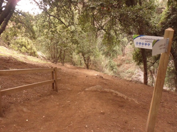 Los Peumos path