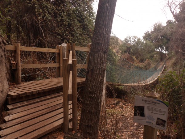 Hanging bridge