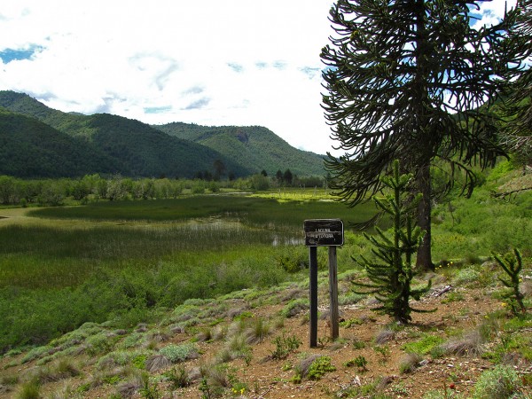 Laguna la Totora