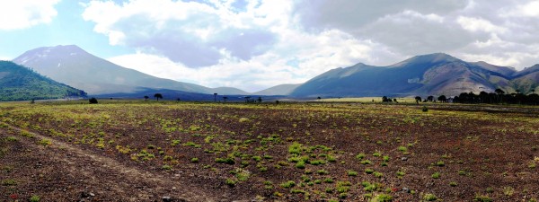 Panorámica volcán Lonquimay