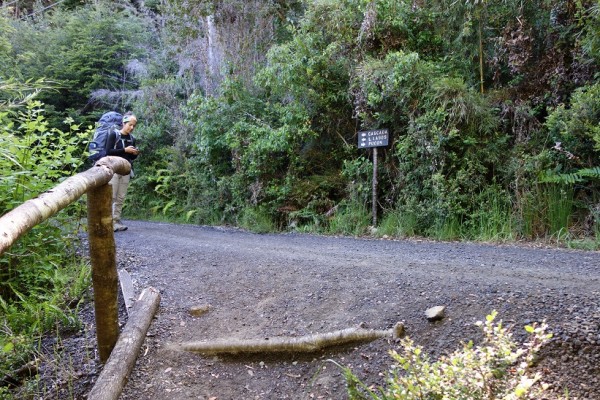 Fin sendero Ñirrico