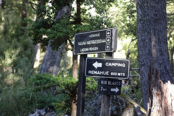 Desvío Renahue - Río Blanco - Huerquehue