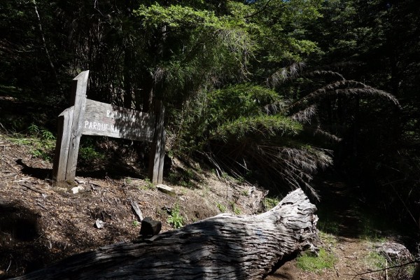 Fin Parque Huerquehue