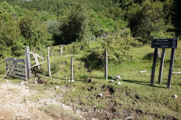 Desvío Río Blanco - Laguna Pehuen - Renahue