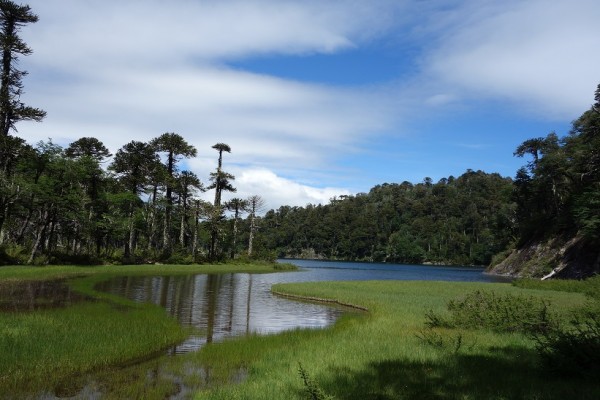 Laguna Toro