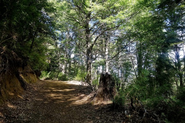 Sendero El Raleo