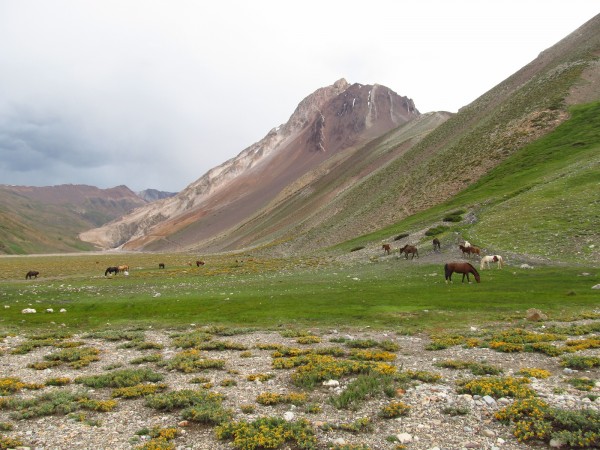 Cerro Gastón Estival y Verdes