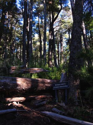 Zona de descanso