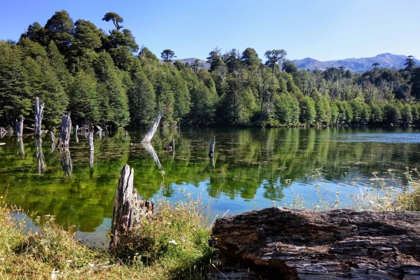 Laguna Captrén Laguna Captrén