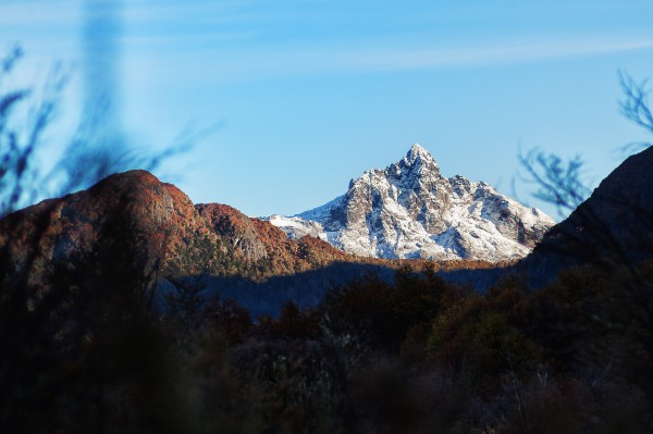 Quinquilil desde el Valle del Lanín