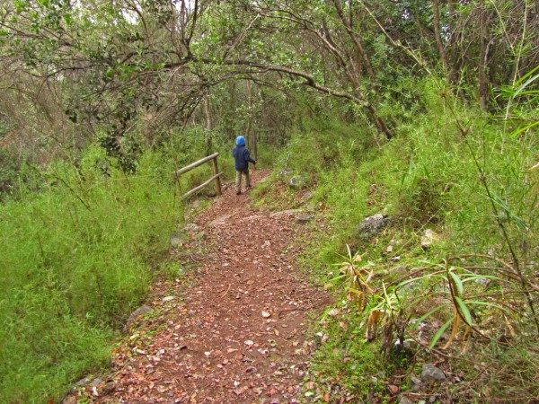 Sendero después del mirador