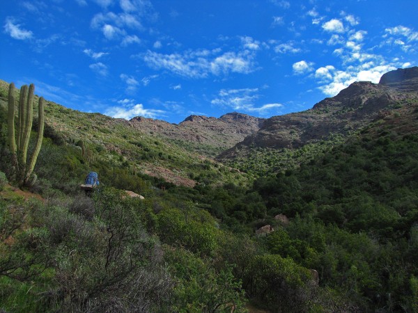 Quebrada del estero los Molinos