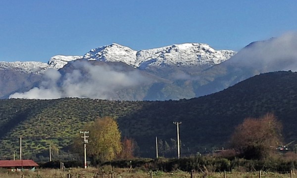 Caqui desde las afueras de Catemu