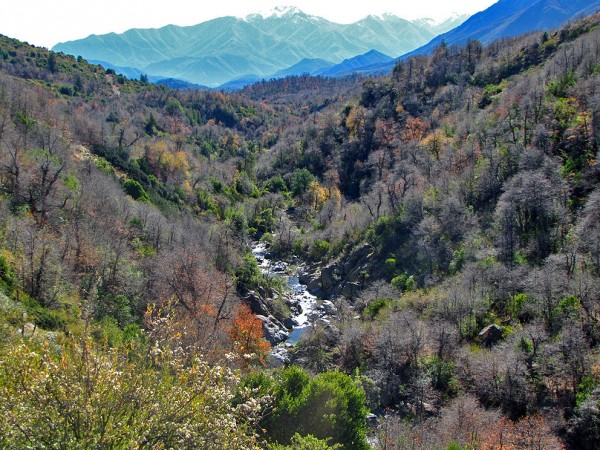 Río Rondadero