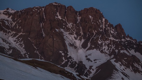 Piuquencillo al atardecer