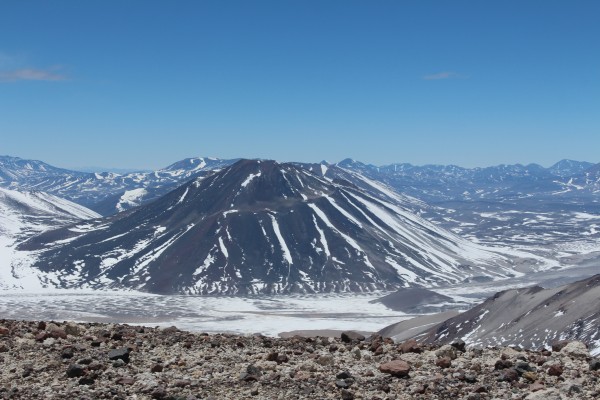 Vicuñas cara suroeste