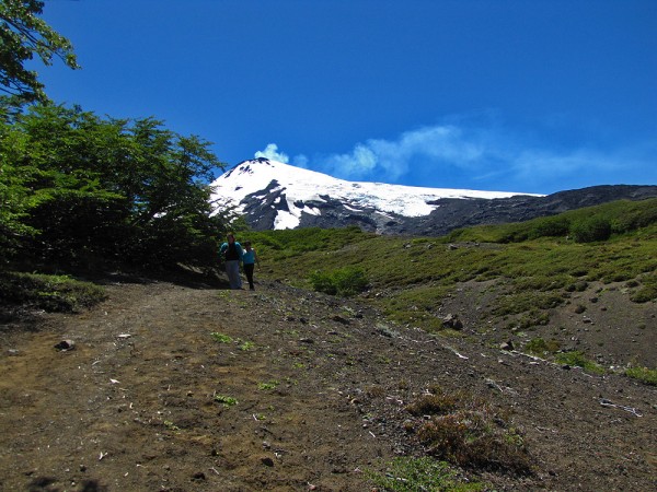 Saliendo del bosque