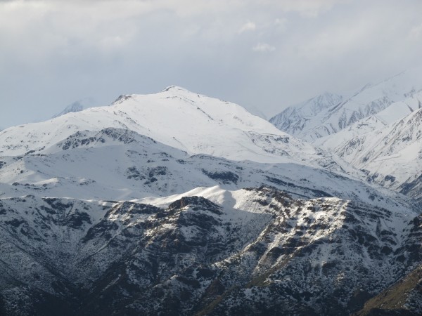 Cortadera desde el Ñipa