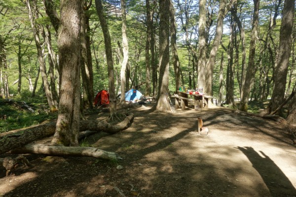 Campamento Estero El Bosque