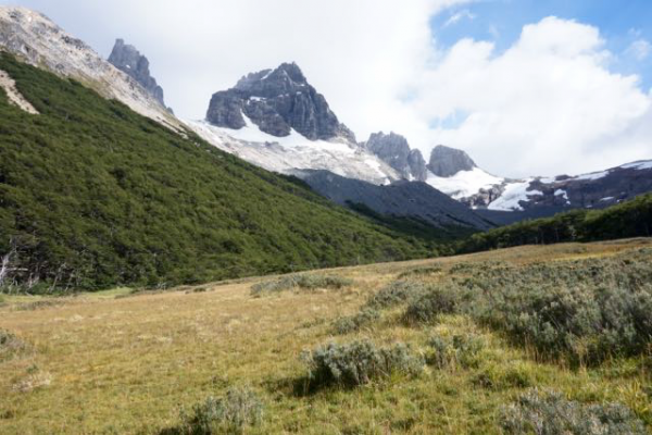 Pampas en valle del Parada