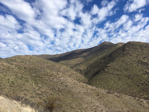 Cerro El Piojo Cerro El Piojo