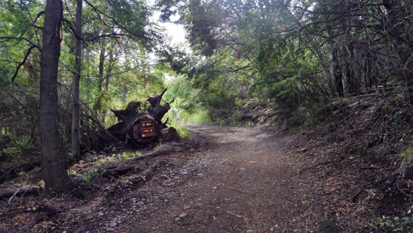 Letreros al inicio del sendero