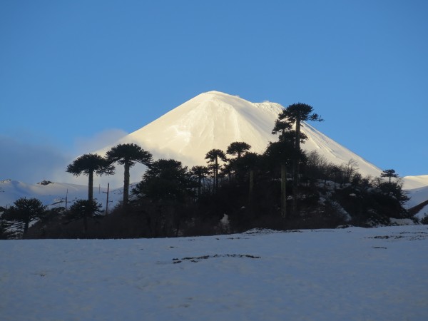 Falda de araucarias