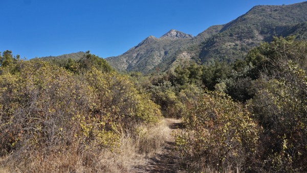 Comienzo del sendero