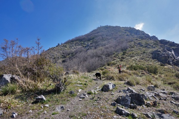 Vista desde portezuelo